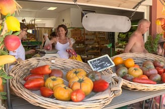 Camping Le Brasilia, team, diensten, winkeltje van Radouane, tuinbouwer, groenten en fruit