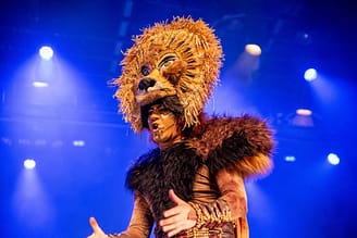 Camping la Sir&egrave;ne - Soir&eacute;es et spectacles - Sir&egrave;ne Arena - Spectacle Simba