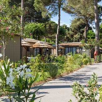 Camping Le Brasilia, allées arborées du quartier Okavango