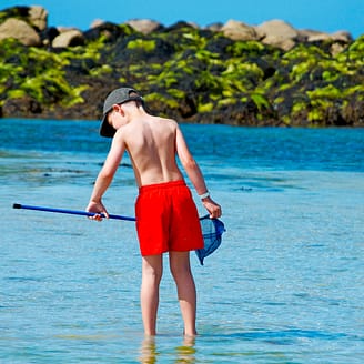 Les Mouettes - Ile Callot - Child - Shore fishing in Brittany