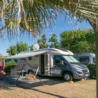 Camping Le Brasilia, emplacement pour camping car entouré de palmiers
