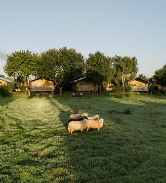 Les Mouettes - cottages et moutons