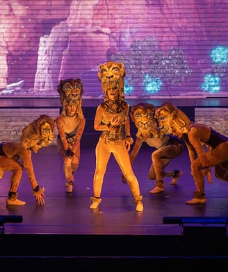 Camping la Sir&egrave;ne - Bars et restaurants - Sir&egrave;ne Arena - Spectacle du Roi Lion