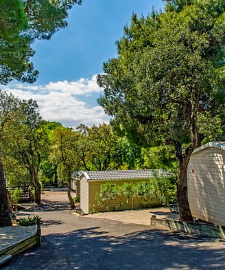 Le Bois de Valmarie campsite - View of the accommodation paths