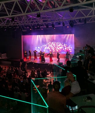 Camping la Sir&egrave;ne - Bars et restaurants - Sir&egrave;ne Arena - Diner spectacle