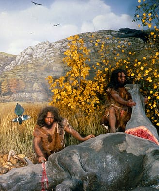 Musée de la Préhistoire de Tautavel, hommes préhistoriques