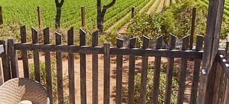 Camping les Tournels : Hébergement avec vue sur le domaine viticole des Tournels