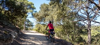Camping les Tournels : Excursion inoubliable aux Iles d'Or - Balade à vélo
