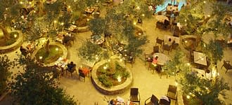 Campeggio Les Tournels: Scoperta dei borghi del Golfo di Saint-Tropez - Terrazza del ristorante