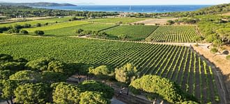 Campeggio Les Tournels: Villaggio - Alloggi con vista sulle vigne e sul mare