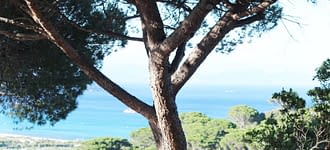 Campeggio Les Tournels: Alloggio in un campeggio con vista mare