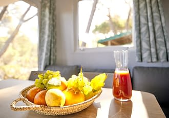 Camping les Tournels : Cottage Safari - Salon