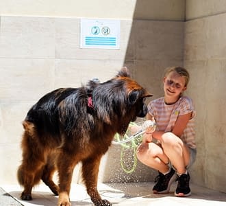 Camping les Tournels : Dog friendly