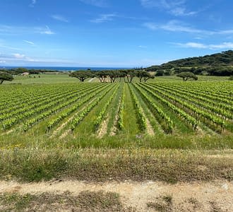 Camping les Tournels : Le village - Vue du domaine viticole des Tournels