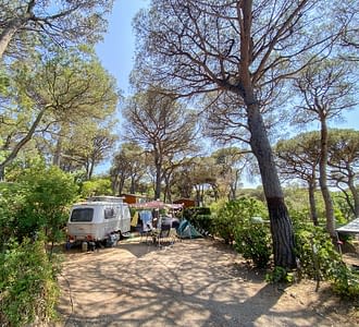 Camping les Tournels : Grand emplacement