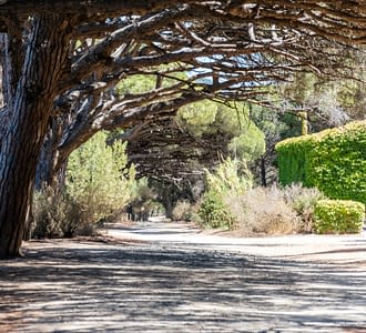 Camping les Tournels : Excursion inoubliable aux Iles d'Or - Chemin à Porquerolles
