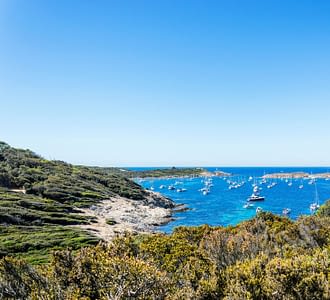 Campingplatz Les Tournels: Ein unvergesslicher Ausflug zu den Iles d‘Or - Blick auf die Küste von Porquerolles