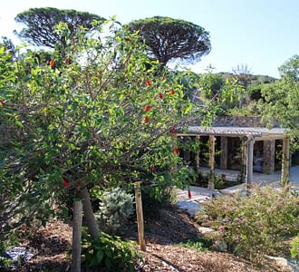 Camping Les Tournels: Ingang receptie