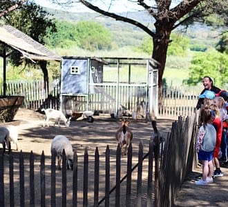 Camping les Tournels : Clubs enfants et ados - Mini-ferme à deux pas du camping