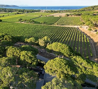 Campeggio Les Tournels: Villaggio - Alloggi con vista sulle vigne e sul mare