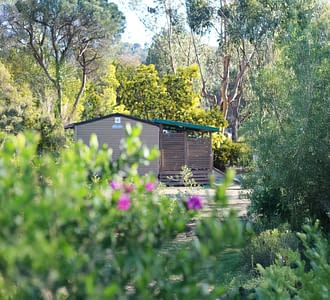 Campeggio Les Tournels: Villaggio - Vista degli alloggi dalle vie del campeggio