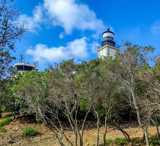 Camping les Tournels : à la découverte du Phare de Cap Camarat - Vue générale du phare