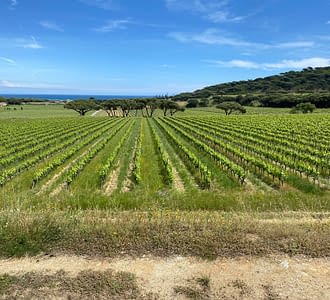 Campeggio Les Tournels: Il villaggio - Vista del Domaine viticole des Tournels