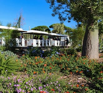 Camping les Tournels : Services - Petit train