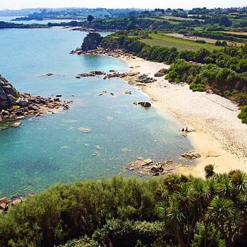 Camping Les Mouettes - Exp&eacute;riences - Roscoff - 
