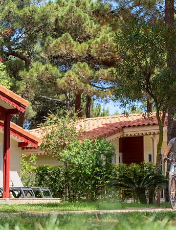 Camping Le Brasilia, all&eacute;es arbor&eacute;es du quartier Les Marquises