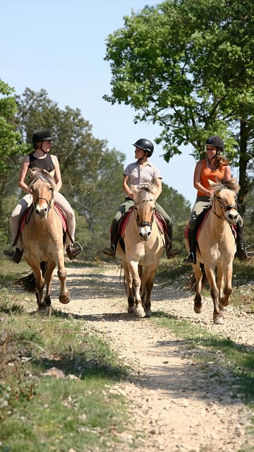 Camping Arc en Ciel - Activit&eacute;s - Equitation
