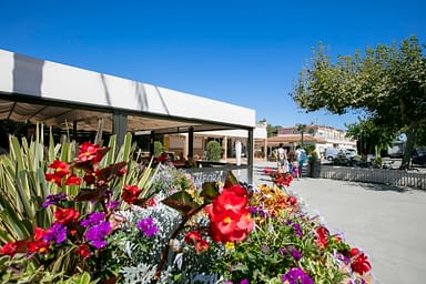 Camping Amfora - Le camping - Terrasse du restaurant et entr&eacute;e du camping