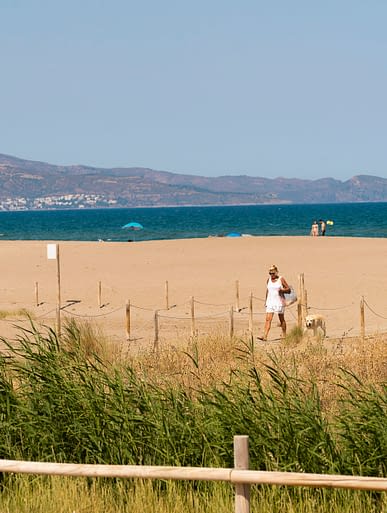 Camping Amfora - La plage - Chemin direct &agrave; la plage