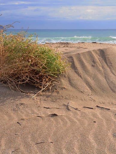 Campingplatz Amfora - Der Strand - 