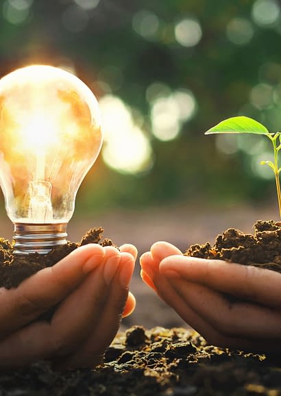 Campingplatz Amfora - Umweltbewusster Ansatz - Unsere Energie ist zu 100 % gr&uuml;n