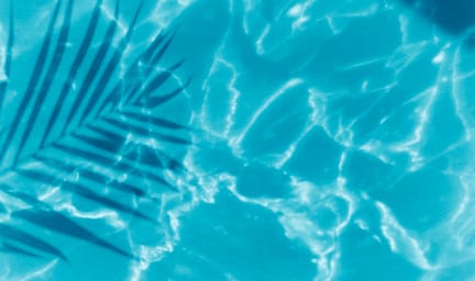 Camping la Sir&egrave;ne - Gros plan piscine et feuille de palmier