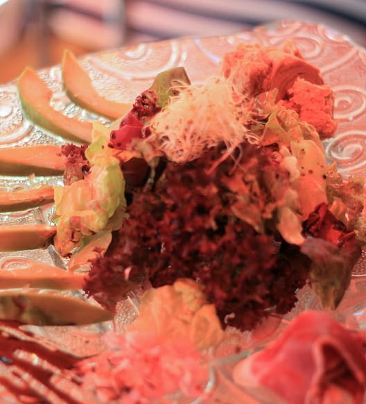 Campingplatz Amfora - Dienstleistungen und Gesch&auml;fte - 