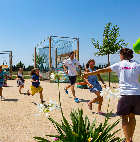 Campingplatz Amfora - Dienstleistungen und Geschäfte - Amfi Park