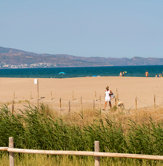 Camping Amfora - La plage - Chemin direct à la plage