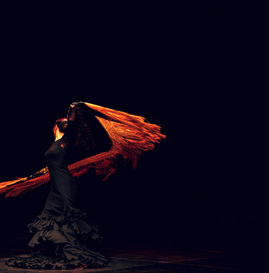 Campingplatz Amfora - Abendveranstaltung - Flamenco-Show