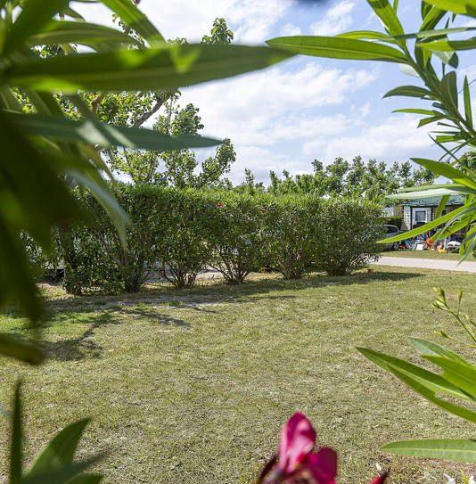 Camping Amfora - Emplacement 100m² - Grand emplacement pour tente et camping car