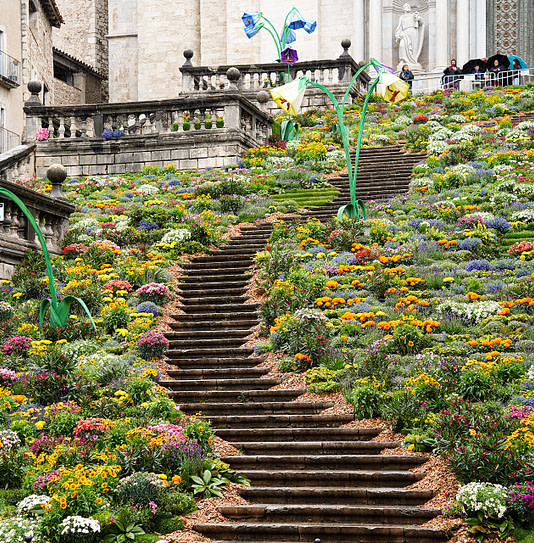 Camping Amfora - Nieuws - Bloemenfestival in Girona