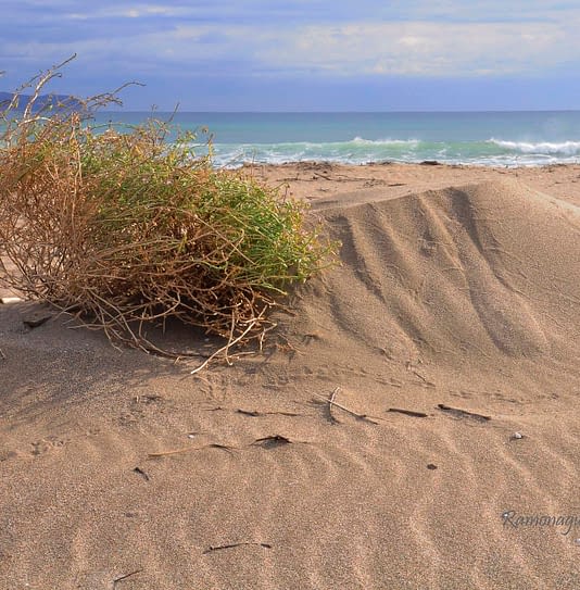 Camping Amfora - La plage - Camping avec vue sur la mer et acc&egrave;s direct &agrave; la plage