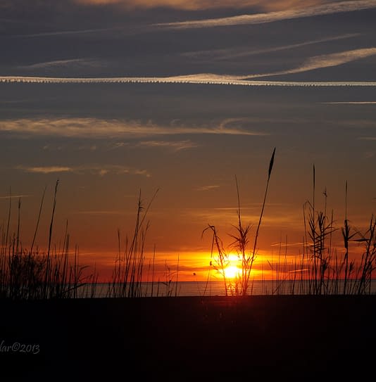 Camping Amfora - La playa -