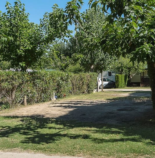 Camping Amfora - Emplacement 100m&sup2; tout &agrave; l\'egout - Vue de la parcelle