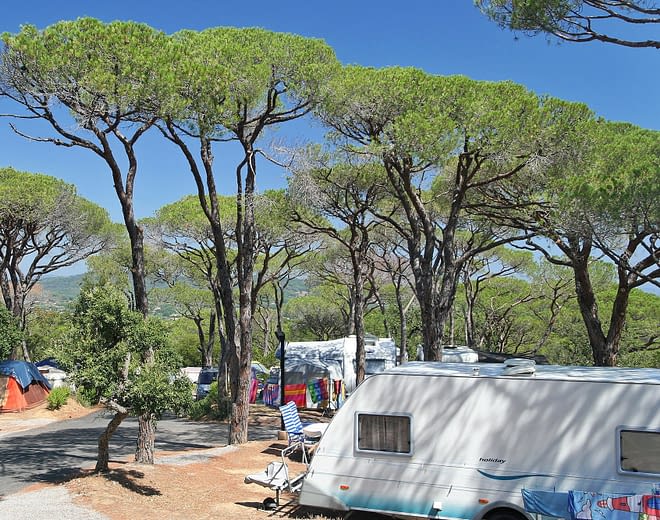 Camping Les Tournels: Parcela Gran confort - Grandes parcelas para caravanas